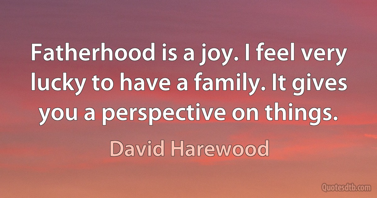 Fatherhood is a joy. I feel very lucky to have a family. It gives you a perspective on things. (David Harewood)