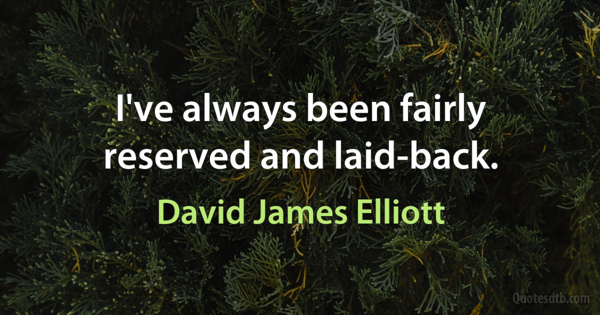 I've always been fairly reserved and laid-back. (David James Elliott)