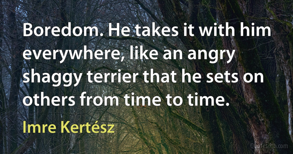 Boredom. He takes it with him everywhere, like an angry shaggy terrier that he sets on others from time to time. (Imre Kertész)