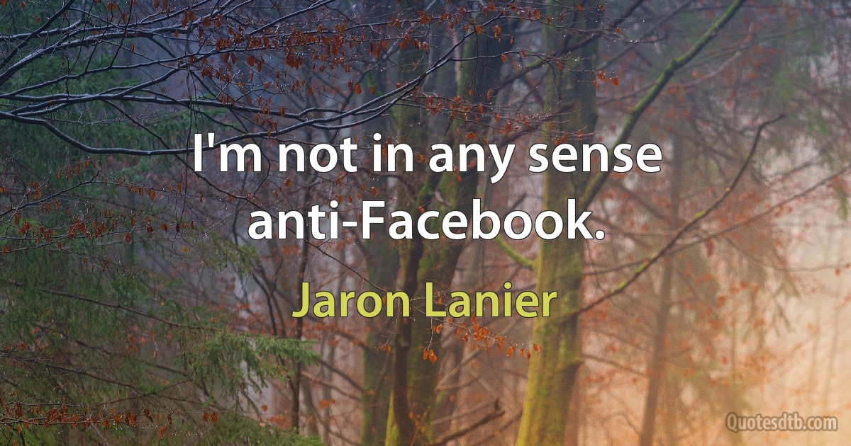 I'm not in any sense anti-Facebook. (Jaron Lanier)