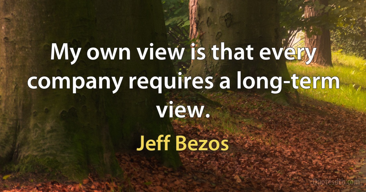 My own view is that every company requires a long-term view. (Jeff Bezos)