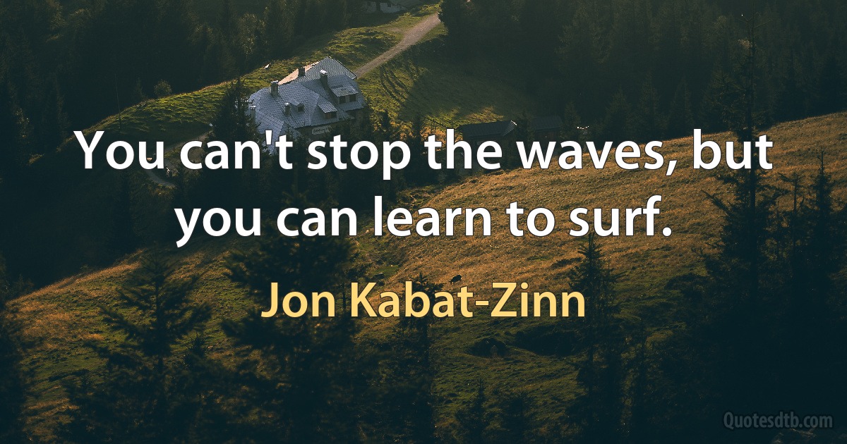 You can't stop the waves, but you can learn to surf. (Jon Kabat-Zinn)