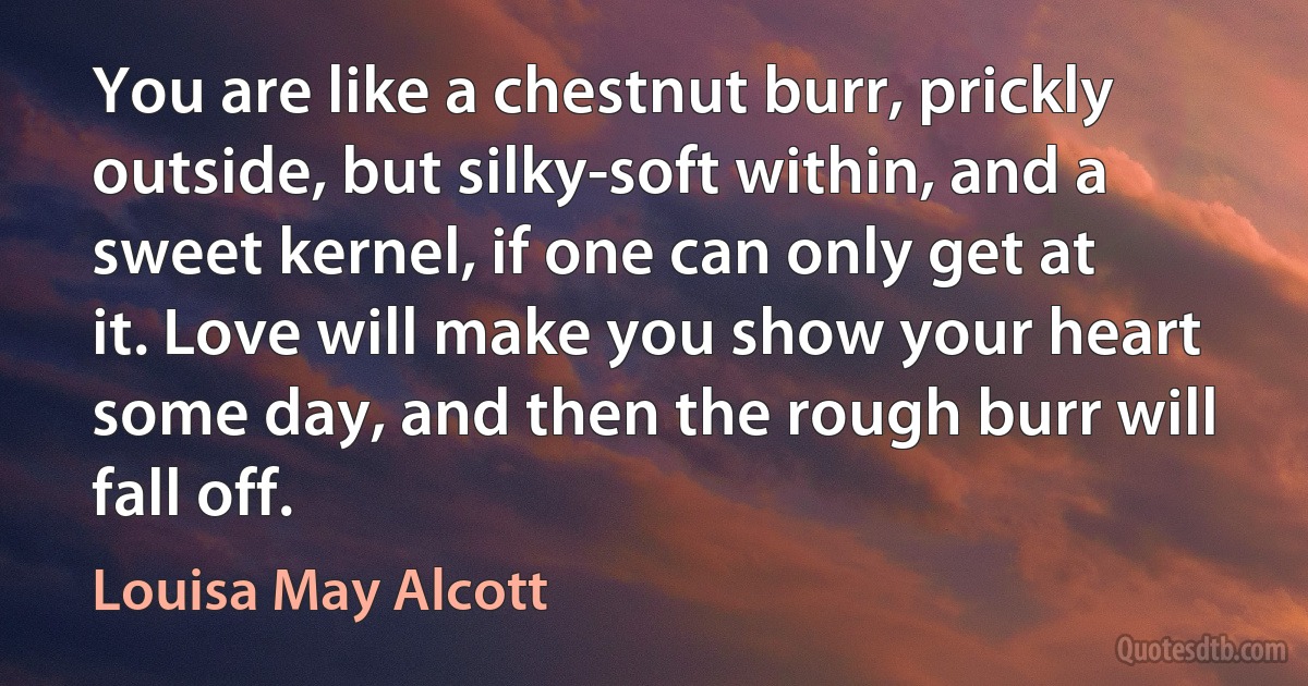 You are like a chestnut burr, prickly outside, but silky-soft within, and a sweet kernel, if one can only get at it. Love will make you show your heart some day, and then the rough burr will fall off. (Louisa May Alcott)