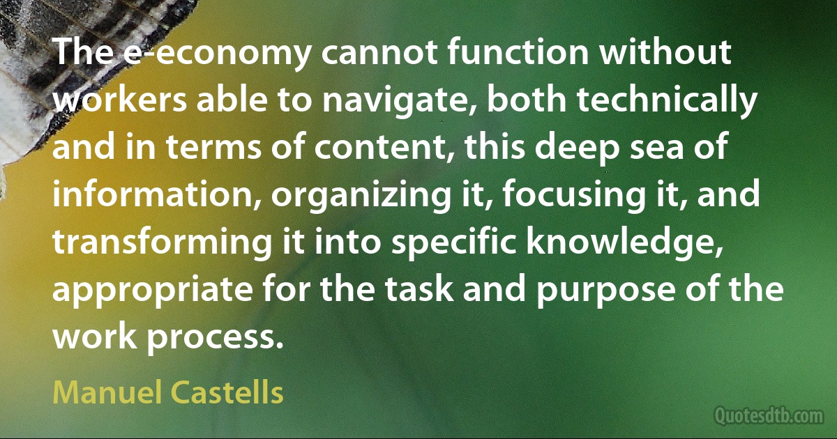 The e-economy cannot function without workers able to navigate, both technically and in terms of content, this deep sea of information, organizing it, focusing it, and transforming it into specific knowledge, appropriate for the task and purpose of the work process. (Manuel Castells)