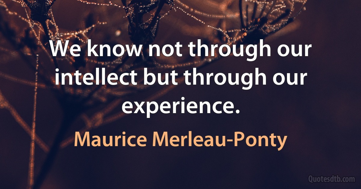 We know not through our intellect but through our experience. (Maurice Merleau-Ponty)