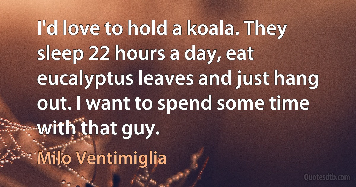 I'd love to hold a koala. They sleep 22 hours a day, eat eucalyptus leaves and just hang out. I want to spend some time with that guy. (Milo Ventimiglia)