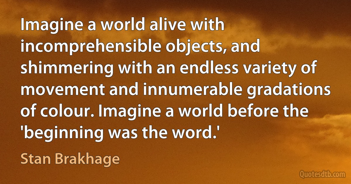 Imagine a world alive with incomprehensible objects, and shimmering with an endless variety of movement and innumerable gradations of colour. Imagine a world before the 'beginning was the word.' (Stan Brakhage)