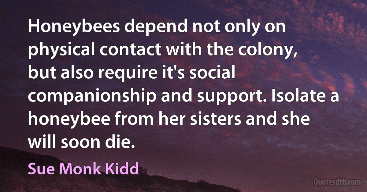 Honeybees depend not only on physical contact with the colony, but also require it's social companionship and support. Isolate a honeybee from her sisters and she will soon die. (Sue Monk Kidd)