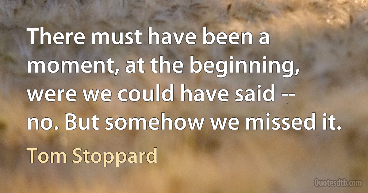 There must have been a moment, at the beginning, were we could have said -- no. But somehow we missed it. (Tom Stoppard)