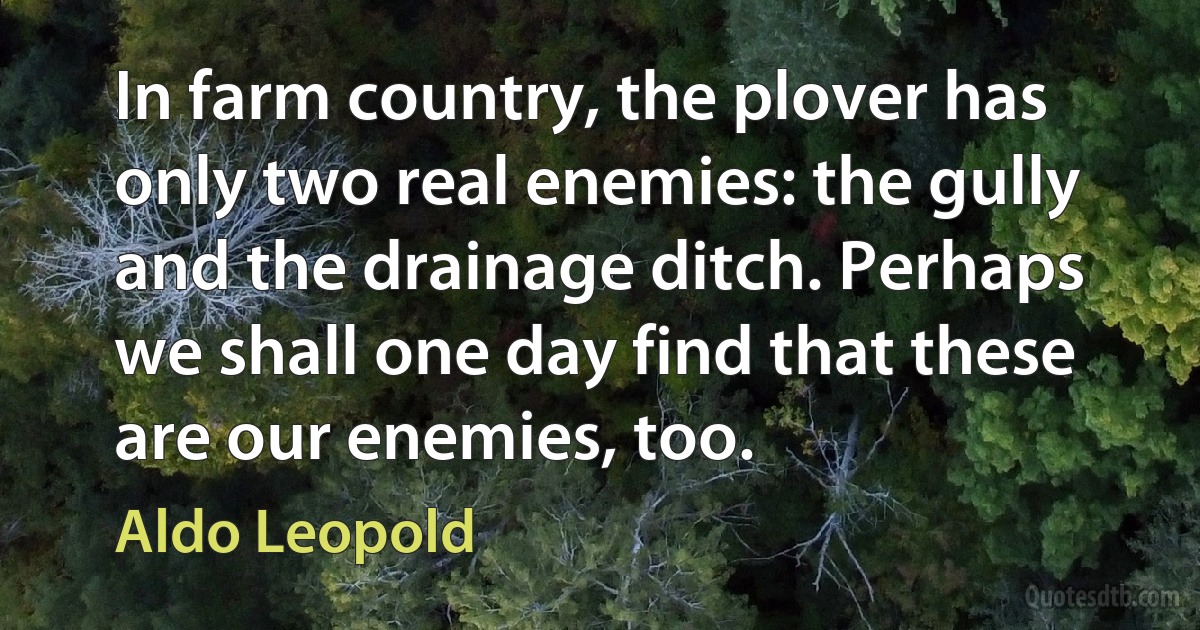 In farm country, the plover has only two real enemies: the gully and the drainage ditch. Perhaps we shall one day find that these are our enemies, too. (Aldo Leopold)