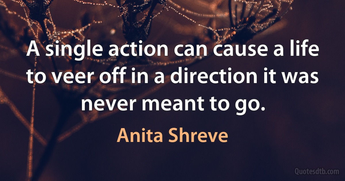 A single action can cause a life to veer off in a direction it was never meant to go. (Anita Shreve)