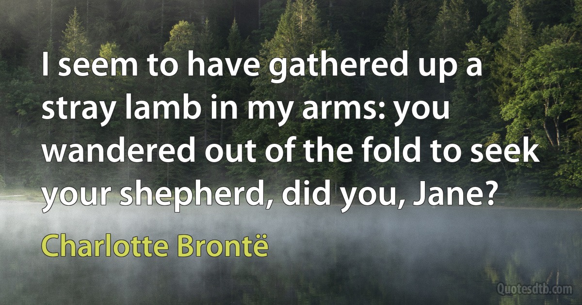 I seem to have gathered up a stray lamb in my arms: you wandered out of the fold to seek your shepherd, did you, Jane? (Charlotte Brontë)