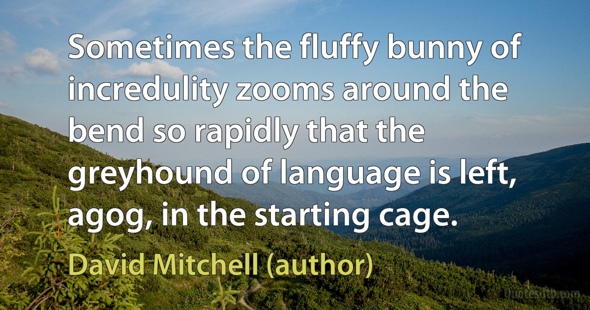 Sometimes the fluffy bunny of incredulity zooms around the bend so rapidly that the greyhound of language is left, agog, in the starting cage. (David Mitchell (author))