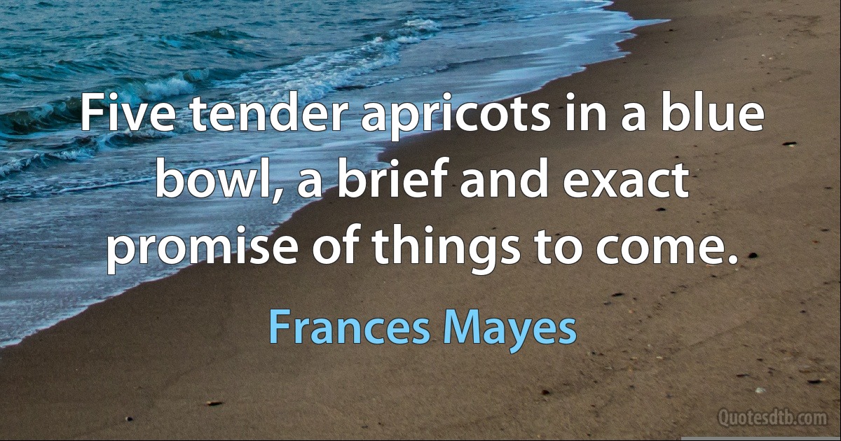 Five tender apricots in a blue bowl, a brief and exact promise of things to come. (Frances Mayes)