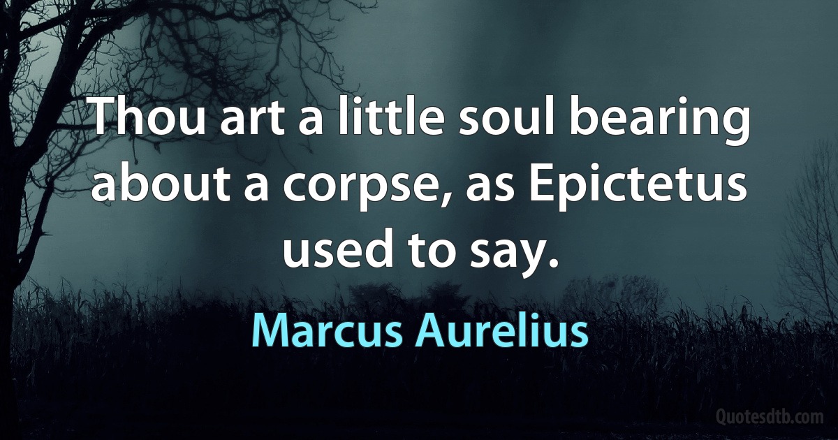 Thou art a little soul bearing about a corpse, as Epictetus used to say. (Marcus Aurelius)