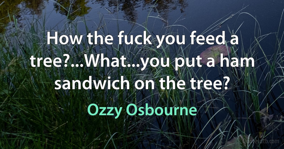 How the fuck you feed a tree?...What...you put a ham sandwich on the tree? (Ozzy Osbourne)