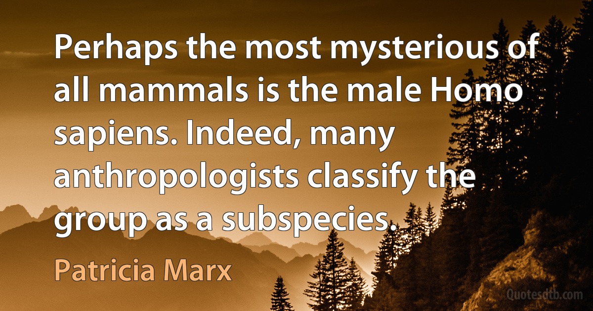 Perhaps the most mysterious of all mammals is the male Homo sapiens. Indeed, many anthropologists classify the group as a subspecies. (Patricia Marx)