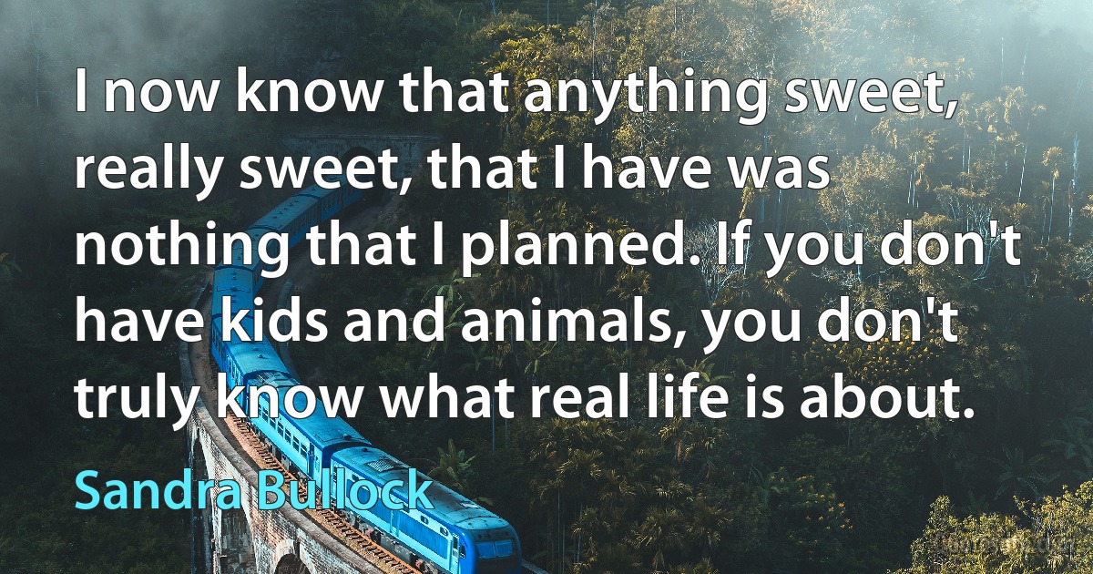 I now know that anything sweet, really sweet, that I have was nothing that I planned. If you don't have kids and animals, you don't truly know what real life is about. (Sandra Bullock)