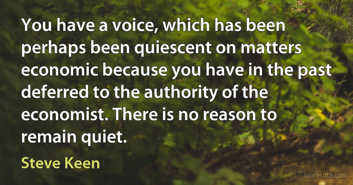 You have a voice, which has been perhaps been quiescent on matters economic because you have in the past deferred to the authority of the economist. There is no reason to remain quiet. (Steve Keen)