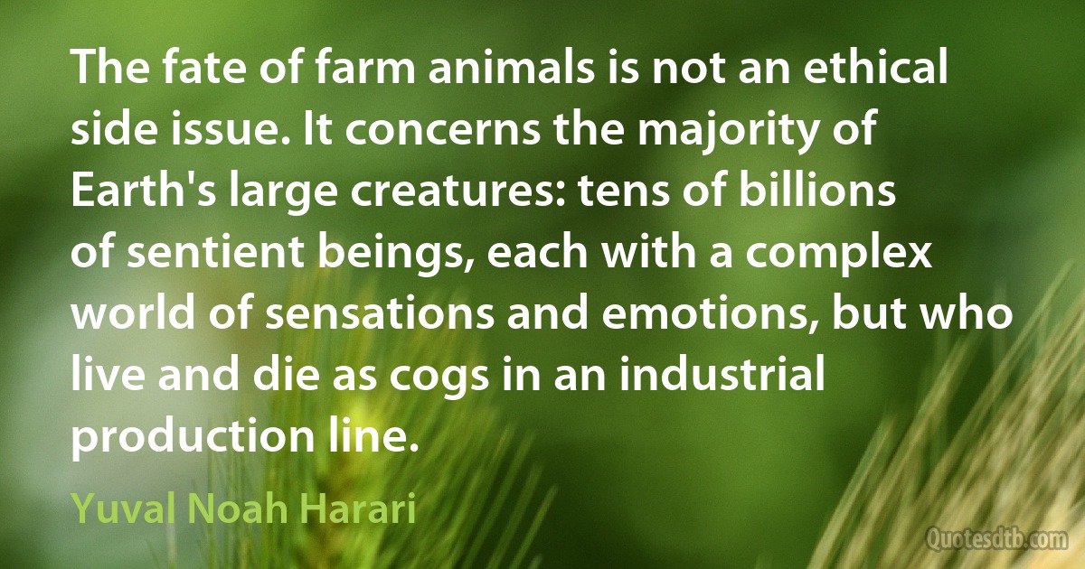 The fate of farm animals is not an ethical side issue. It concerns the majority of Earth's large creatures: tens of billions of sentient beings, each with a complex world of sensations and emotions, but who live and die as cogs in an industrial production line. (Yuval Noah Harari)