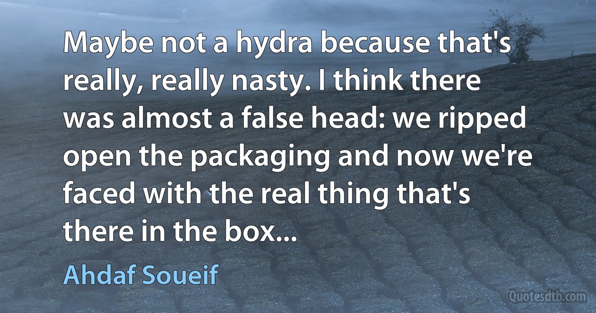 Maybe not a hydra because that's really, really nasty. I think there was almost a false head: we ripped open the packaging and now we're faced with the real thing that's there in the box... (Ahdaf Soueif)