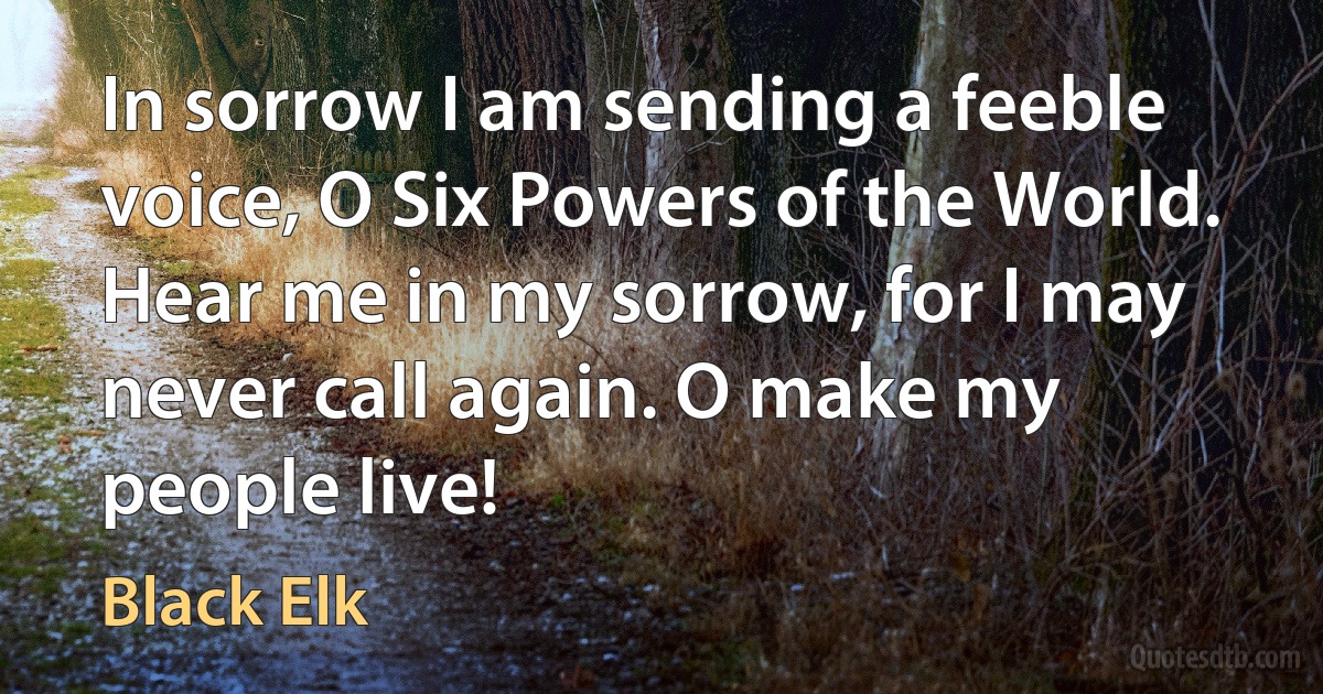 In sorrow I am sending a feeble voice, O Six Powers of the World. Hear me in my sorrow, for I may never call again. O make my people live! (Black Elk)