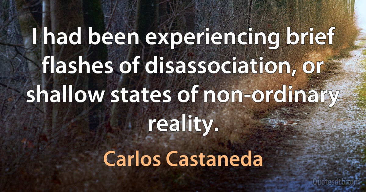 I had been experiencing brief flashes of disassociation, or shallow states of non-ordinary reality. (Carlos Castaneda)