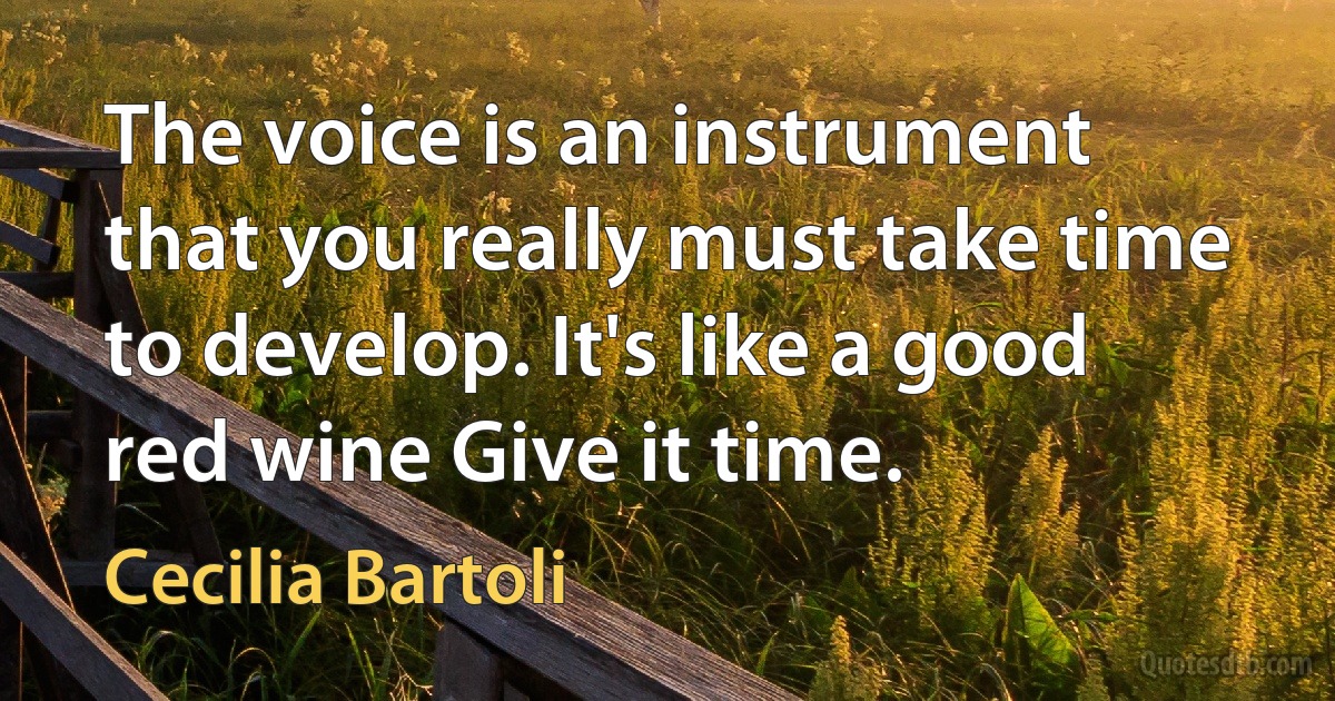 The voice is an instrument that you really must take time to develop. It's like a good red wine Give it time. (Cecilia Bartoli)