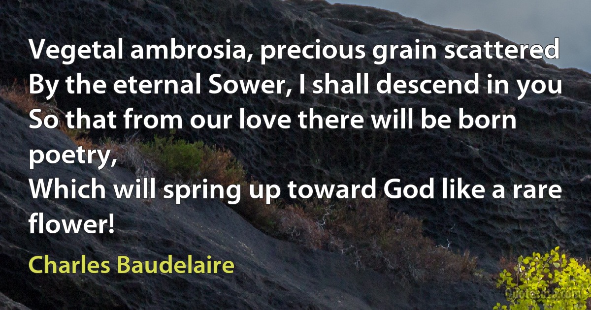 Vegetal ambrosia, precious grain scattered
By the eternal Sower, I shall descend in you
So that from our love there will be born poetry,
Which will spring up toward God like a rare flower! (Charles Baudelaire)