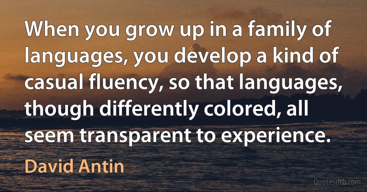 When you grow up in a family of languages, you develop a kind of casual fluency, so that languages, though differently colored, all seem transparent to experience. (David Antin)