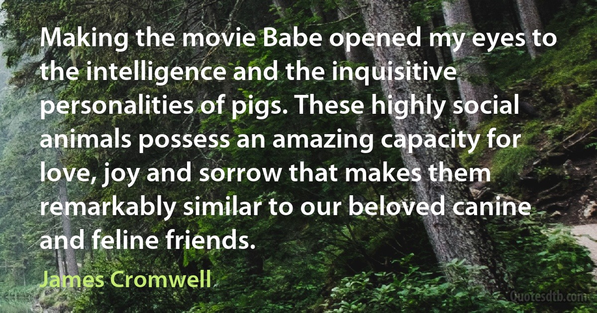 Making the movie Babe opened my eyes to the intelligence and the inquisitive personalities of pigs. These highly social animals possess an amazing capacity for love, joy and sorrow that makes them remarkably similar to our beloved canine and feline friends. (James Cromwell)