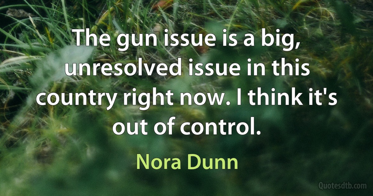 The gun issue is a big, unresolved issue in this country right now. I think it's out of control. (Nora Dunn)