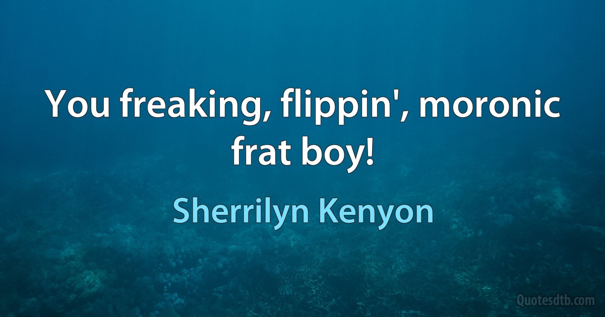 You freaking, flippin', moronic frat boy! (Sherrilyn Kenyon)