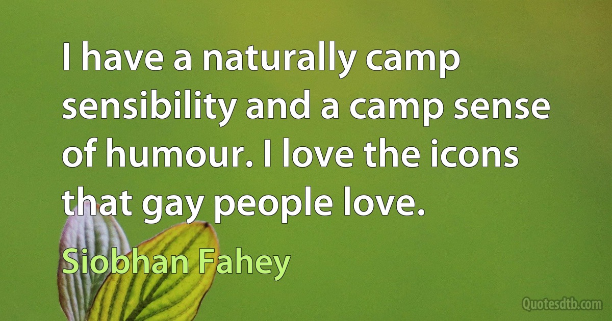 I have a naturally camp sensibility and a camp sense of humour. I love the icons that gay people love. (Siobhan Fahey)