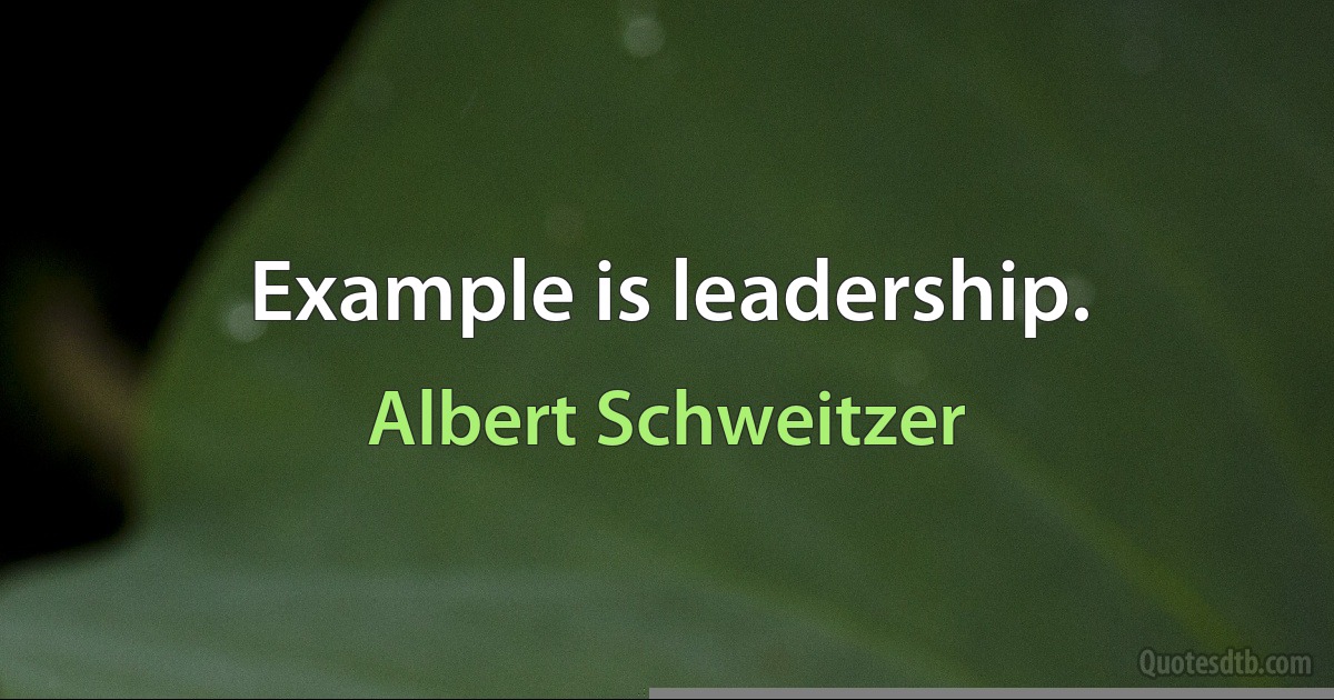 Example is leadership. (Albert Schweitzer)