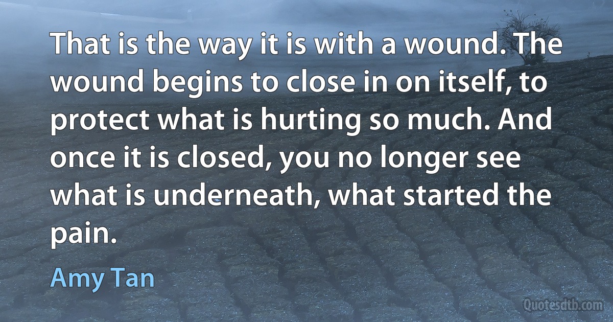 That is the way it is with a wound. The wound begins to close in on itself, to protect what is hurting so much. And once it is closed, you no longer see what is underneath, what started the pain. (Amy Tan)