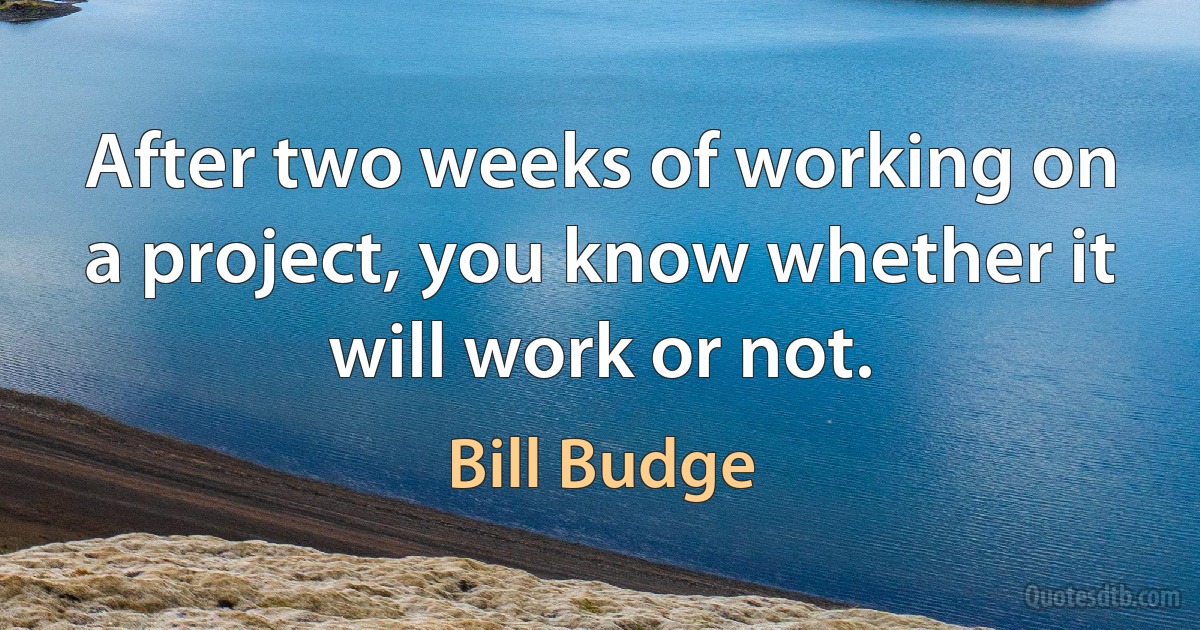 After two weeks of working on a project, you know whether it will work or not. (Bill Budge)