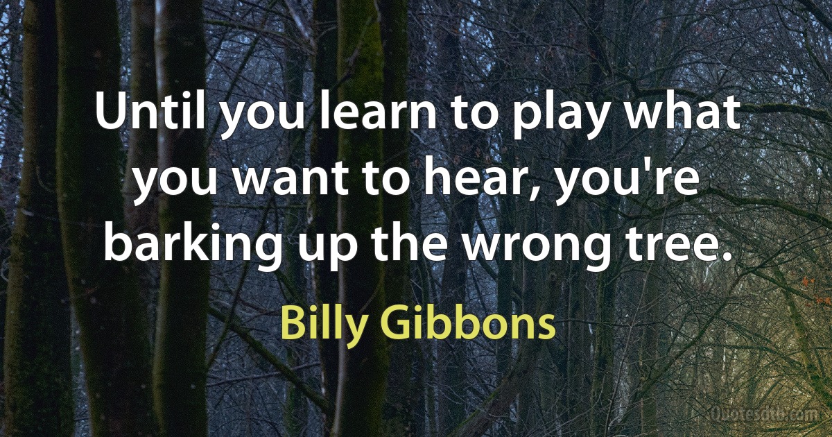 Until you learn to play what you want to hear, you're barking up the wrong tree. (Billy Gibbons)