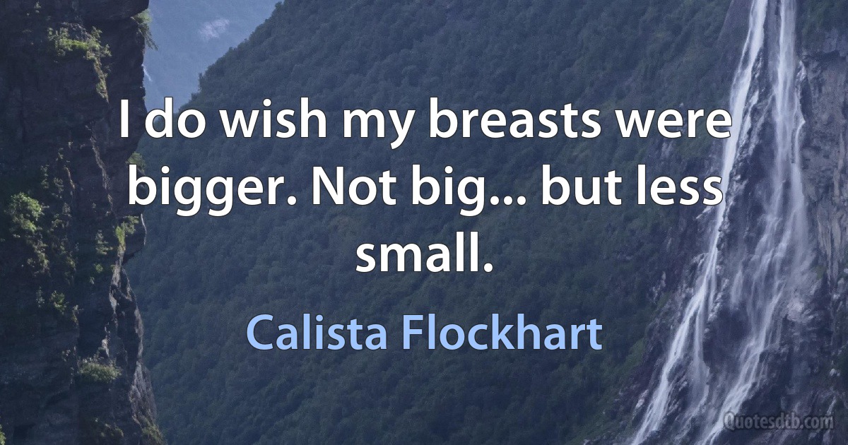 I do wish my breasts were bigger. Not big... but less small. (Calista Flockhart)