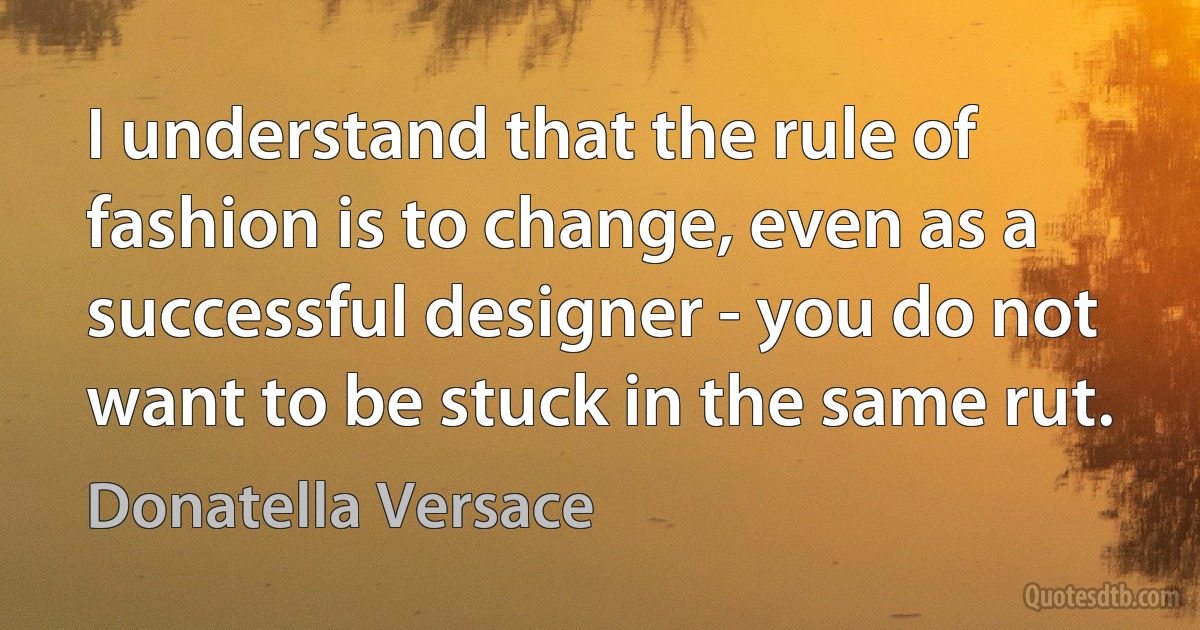 I understand that the rule of fashion is to change, even as a successful designer - you do not want to be stuck in the same rut. (Donatella Versace)