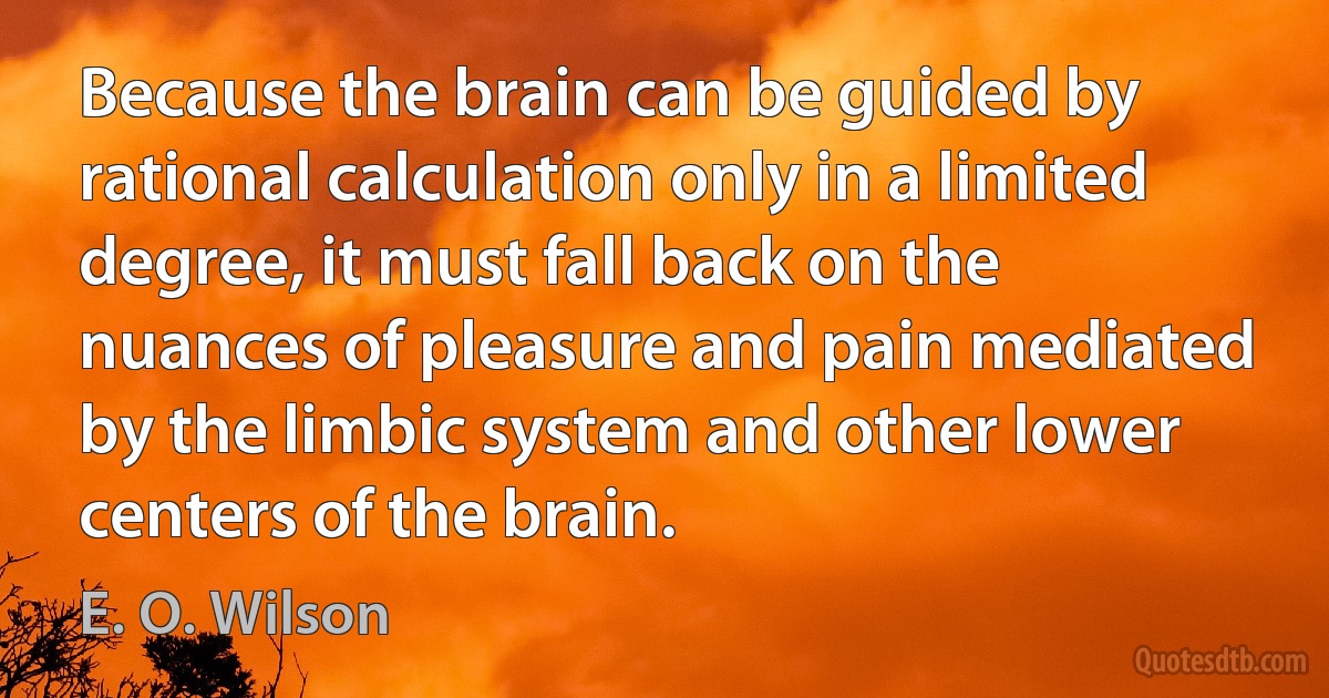 Because the brain can be guided by rational calculation only in a limited degree, it must fall back on the nuances of pleasure and pain mediated by the limbic system and other lower centers of the brain. (E. O. Wilson)