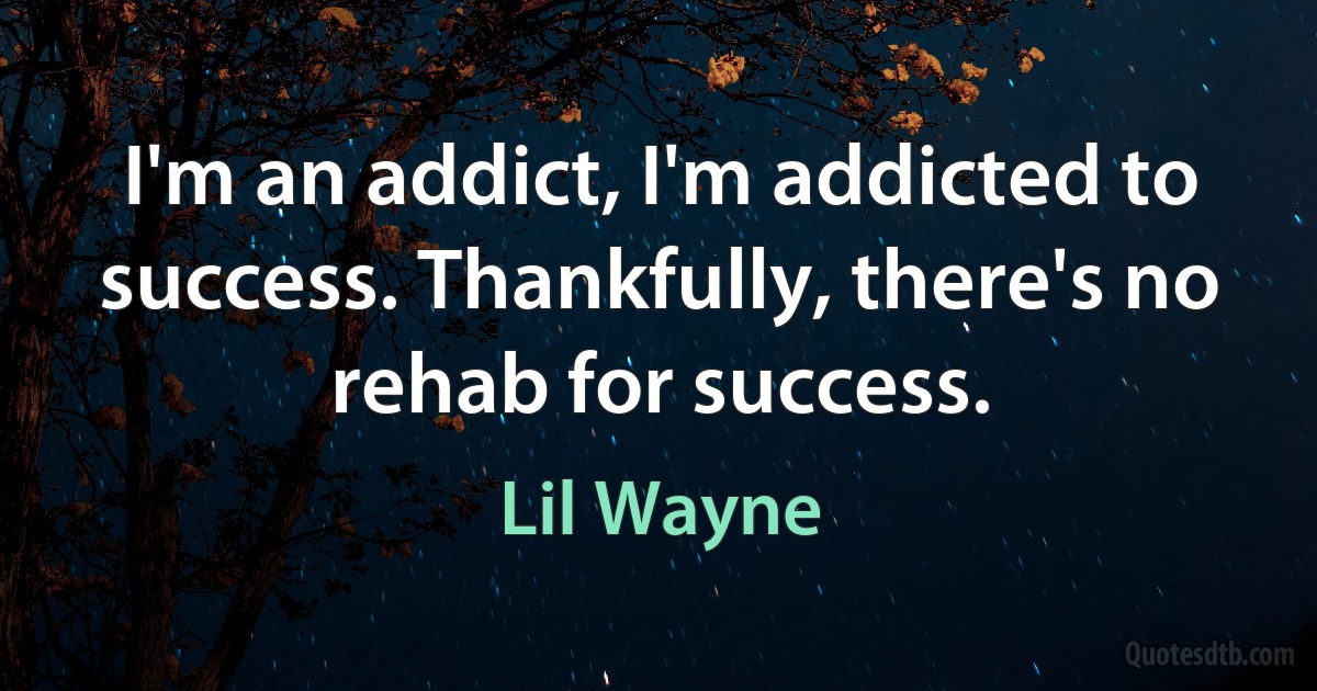 I'm an addict, I'm addicted to success. Thankfully, there's no rehab for success. (Lil Wayne)