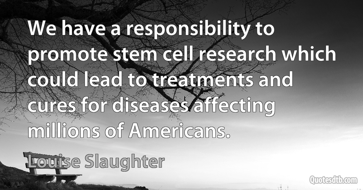 We have a responsibility to promote stem cell research which could lead to treatments and cures for diseases affecting millions of Americans. (Louise Slaughter)