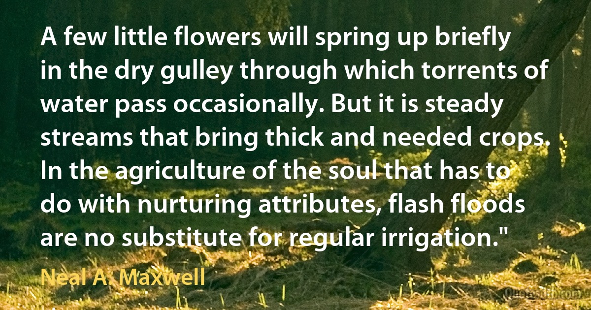 A few little flowers will spring up briefly in the dry gulley through which torrents of water pass occasionally. But it is steady streams that bring thick and needed crops. In the agriculture of the soul that has to do with nurturing attributes, flash floods are no substitute for regular irrigation." (Neal A. Maxwell)