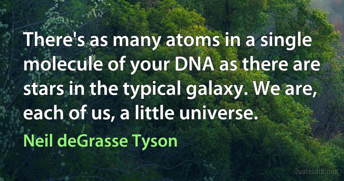 There's as many atoms in a single molecule of your DNA as there are stars in the typical galaxy. We are, each of us, a little universe. (Neil deGrasse Tyson)