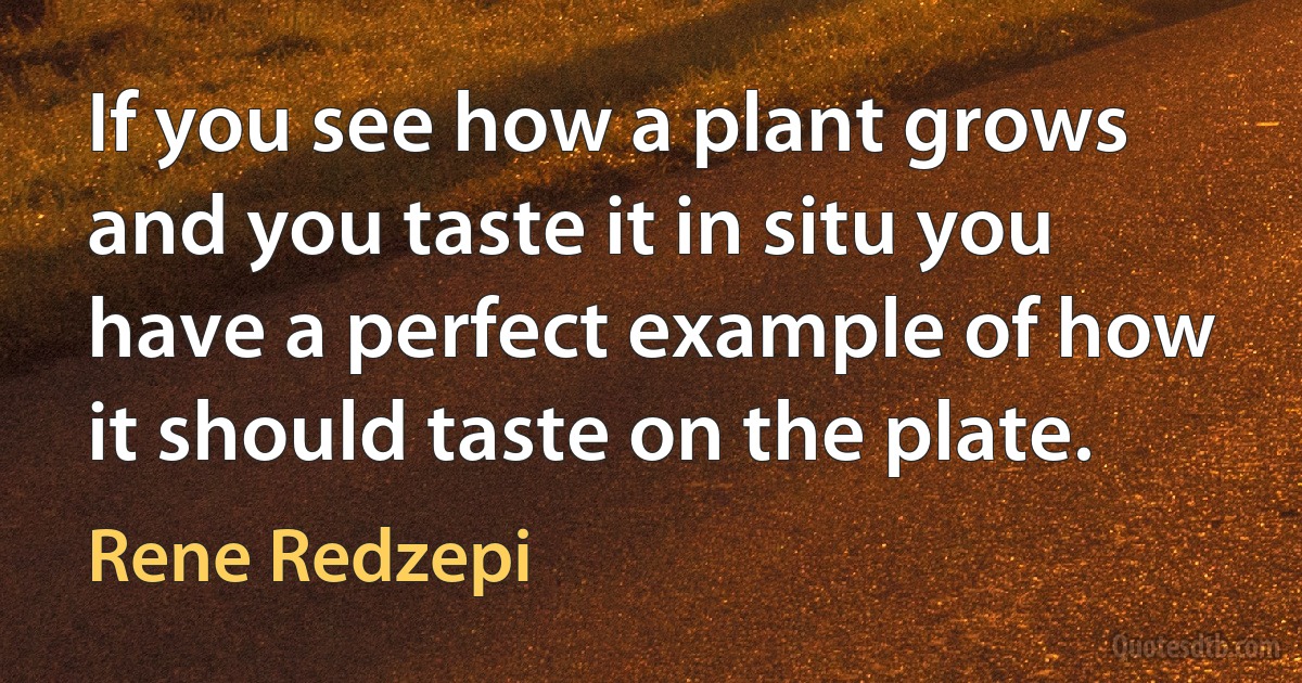 If you see how a plant grows and you taste it in situ you have a perfect example of how it should taste on the plate. (Rene Redzepi)