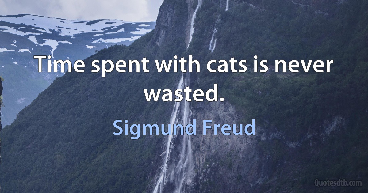 Time spent with cats is never wasted. (Sigmund Freud)