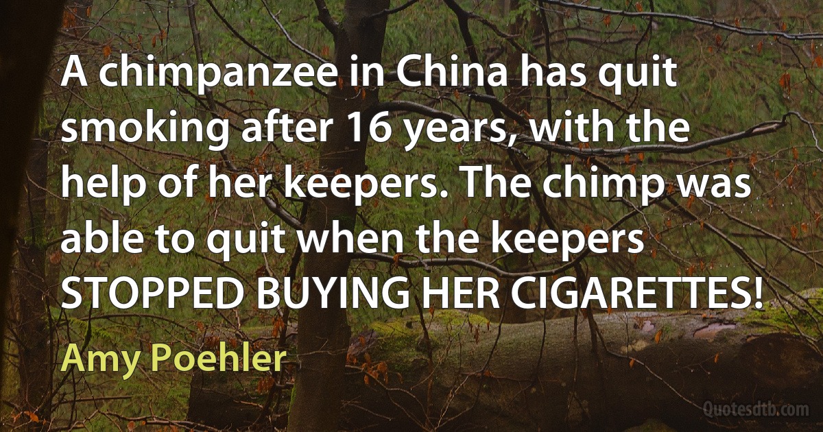 A chimpanzee in China has quit smoking after 16 years, with the help of her keepers. The chimp was able to quit when the keepers STOPPED BUYING HER CIGARETTES! (Amy Poehler)