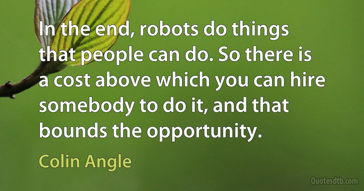 In the end, robots do things that people can do. So there is a cost above which you can hire somebody to do it, and that bounds the opportunity. (Colin Angle)