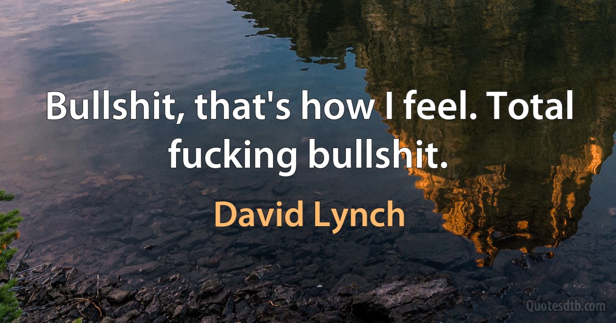 Bullshit, that's how I feel. Total fucking bullshit. (David Lynch)